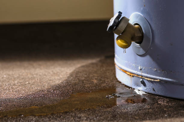 Best Professional water damage repair  in Gainesboro, TN