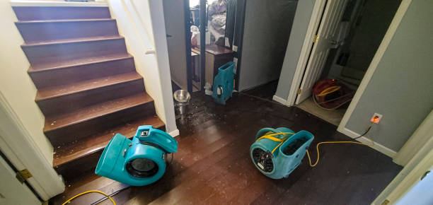 Best Mold removal after water damage  in Gainesboro, TN