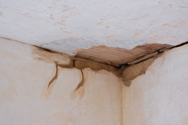 Best Local water damage restoration  in Gainesboro, TN