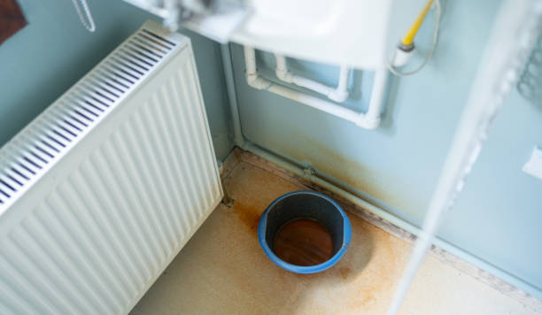 Best Commercial water damage restoration  in Gainesboro, TN